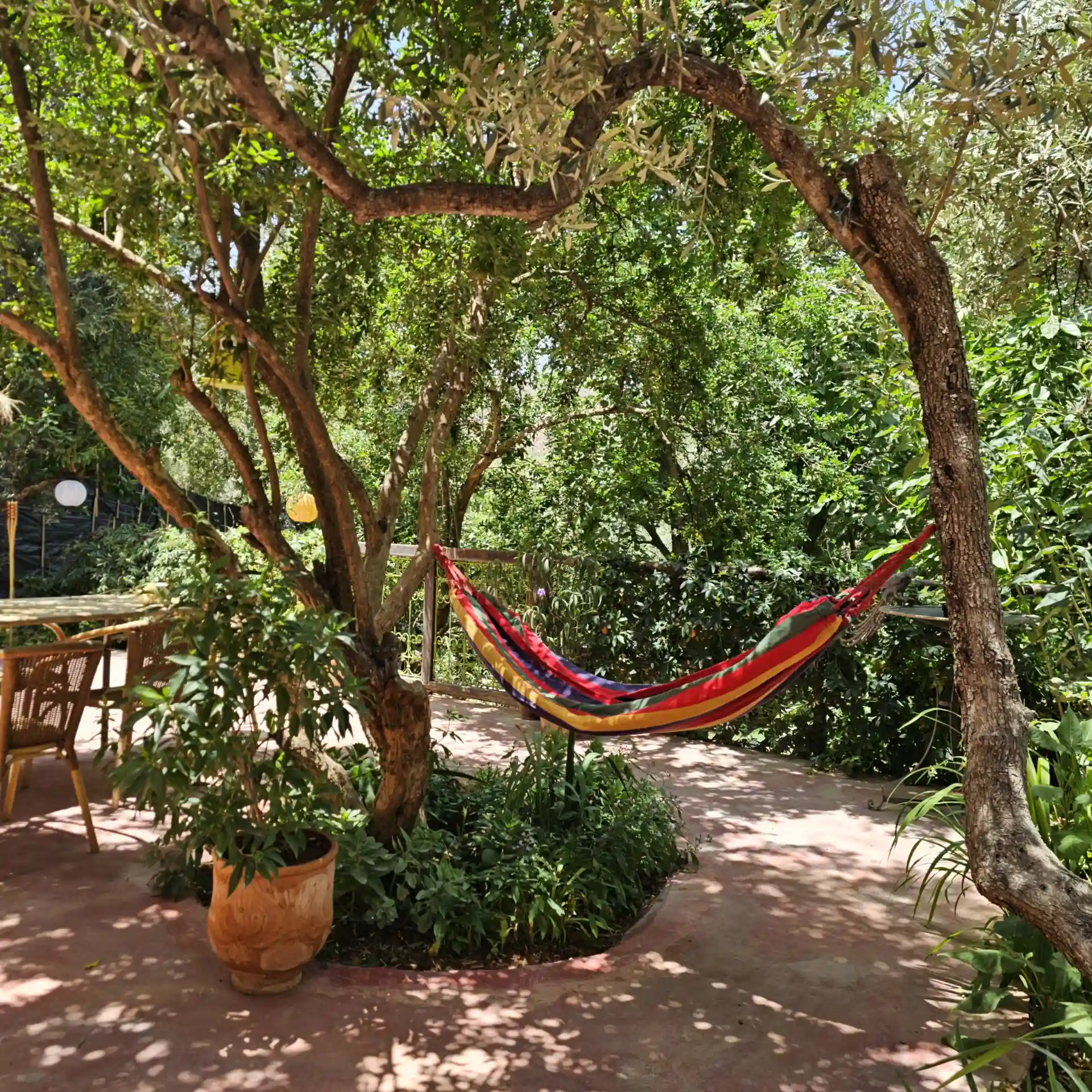 Shaded garden terrace at Dar Zaytoun in Bhalil