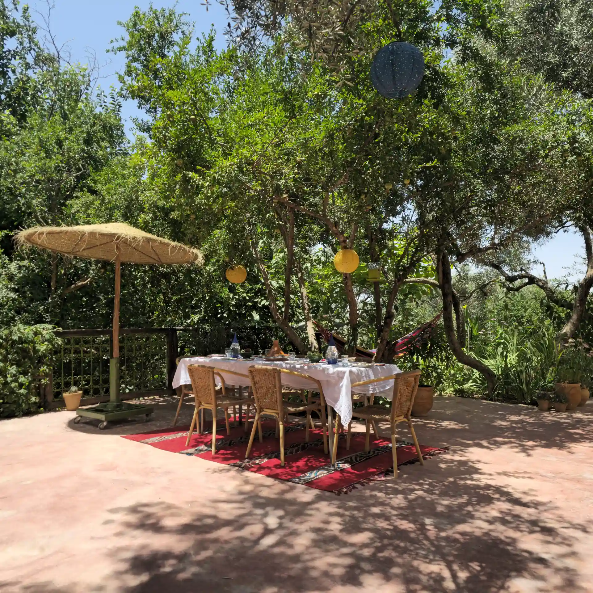 Breakfast table set under the olive trees in the garden of Dar Zaytoun guesthouse in Bhalil